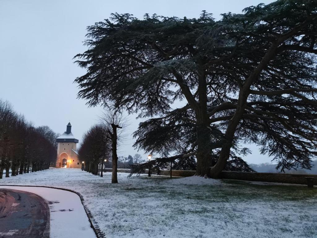 Cosy T1 ! Proche Commerces Et Axes Routiers Château-Renault エクステリア 写真
